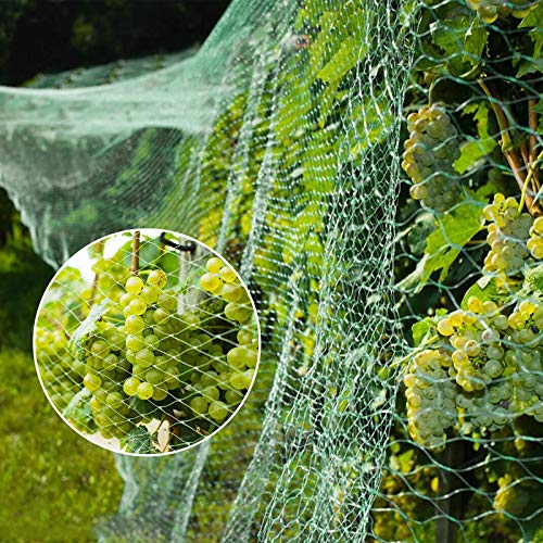 Teichnetz Youley Vogelschutznetz 4M x 10M Grünes Vogelnetz