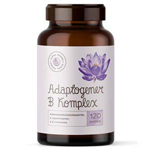 Vitamin-B-Komplex Alpha Foods Adaptogener, 120 Kapseln