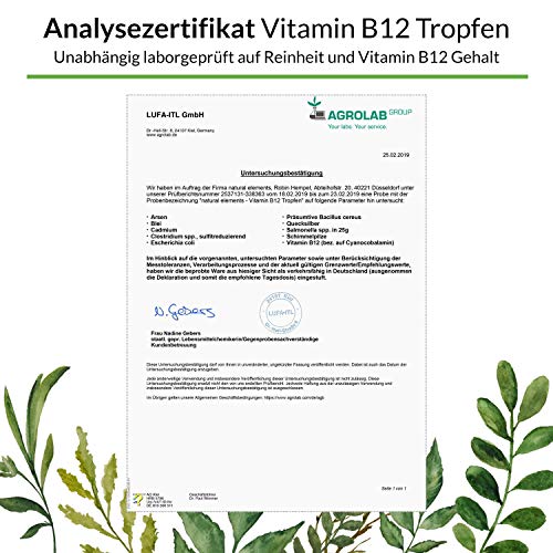 Vitamin B12 natural elements Tropfen, 50ml (1700 Tropfen)