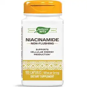 Vitamin B3 NATURE’S WAY Niacinamide, 500 mg, 100 Caps
