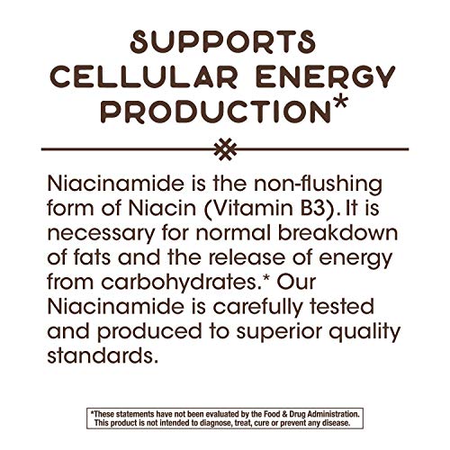 Vitamin B3 NATURE’S WAY Niacinamide, 500 mg, 100 Caps