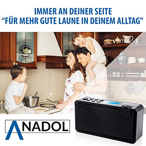 Akku-Radio Anadol ADX-P1 DAB DAB+ Radio