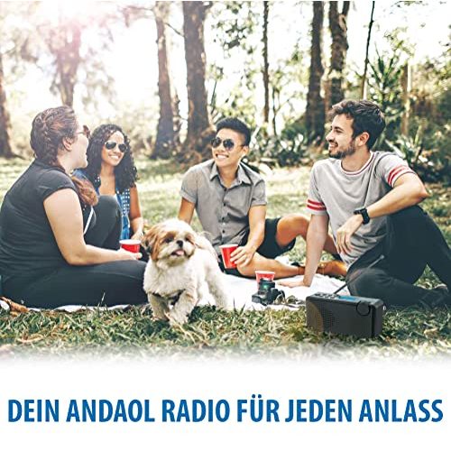 Akku-Radio Anadol ADX-P1 DAB DAB+ Radio