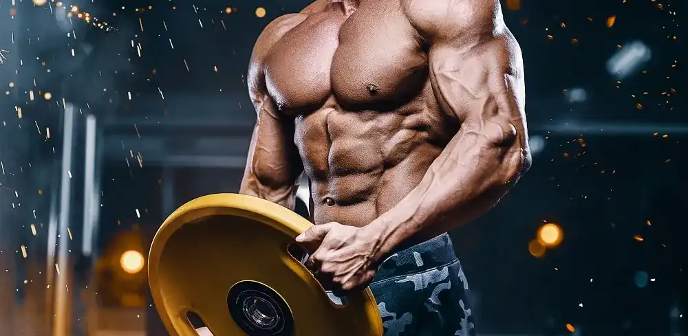 Proteinriegel Proteinriegel