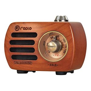 Bluetooth-Radio PRUNUS R-818 Holz Mini Radio Klein, Retro
