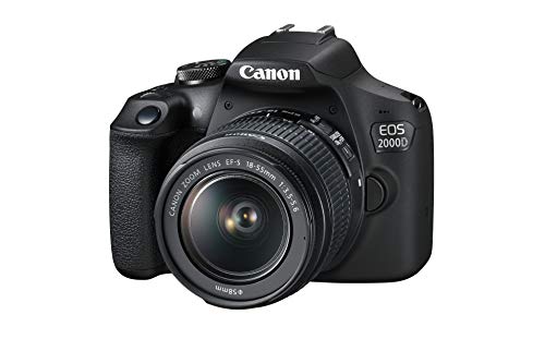 Die beste canon digitalkamera canon eos 2000d Bestsleller kaufen