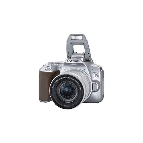 Canon-Digitalkamera Canon EOS 250D mit Objektiv EF-S