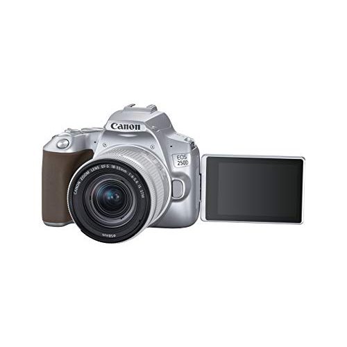 Canon-Digitalkamera Canon EOS 250D mit Objektiv EF-S