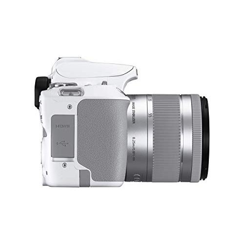 Canon-Spiegereflexkamera Canon EOS 250D Digitalkamera