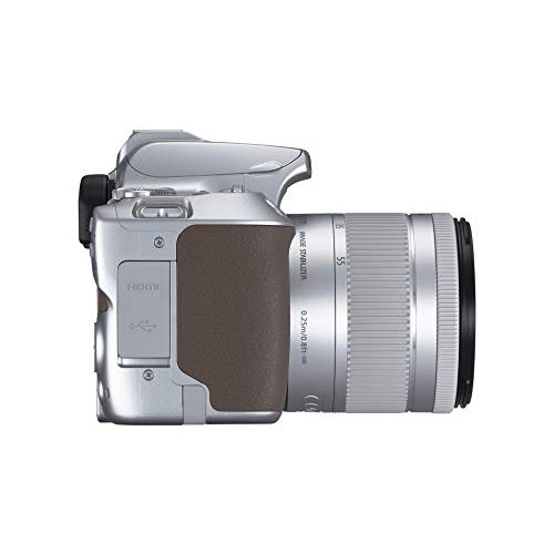 Canon-Systemkamera Canon EOS 250D Digitalkamera