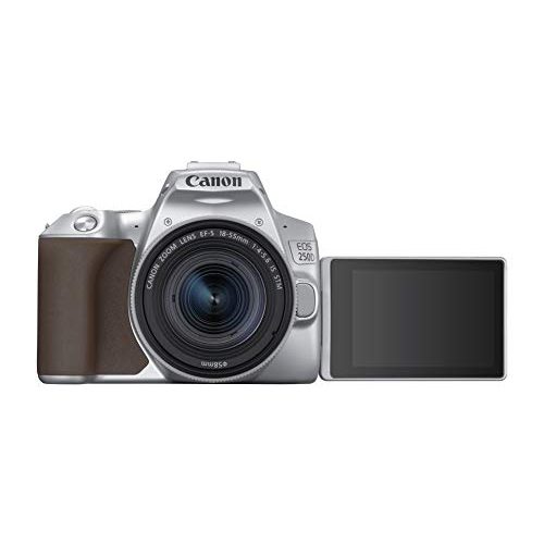 Canon-Systemkamera Canon EOS 250D Digitalkamera