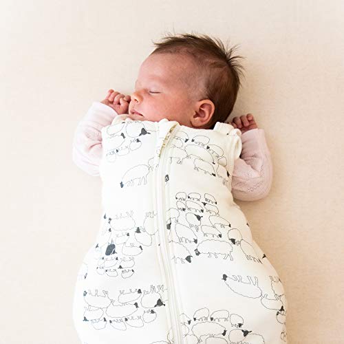 Daunenschlafsack Baby ERGObaby Baby-Schlafsack Winter Neugeborene