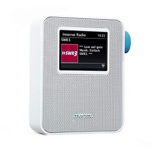 Internetradio (weiß) Blaupunkt Audio BLAUPUNKT PIB 100