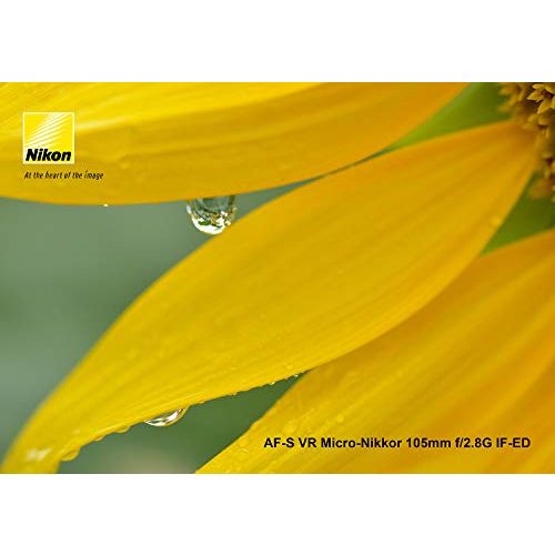 Nikon-Objektiv Nikon AF-S Micro 105 mm 1:2,8G VR Makro