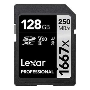 SDXC (64 GB) Lexar Professional 1667x 128GB SDXC UHS-II Karte