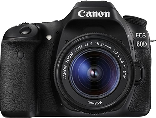 Die beste spiegelreflexkamera canon eos 80d dslr digitalkamera Bestsleller kaufen