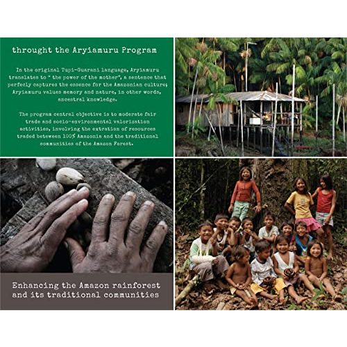 Acai-Pulver 100% Amazonia Reines Acai Pulver Bio