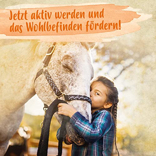 Bierhefe Pferd Ida Plus, Reines Bierhefe-Pulver 3 kg