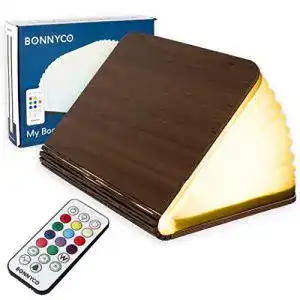 Buchlampe