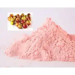 Camu-Camu-Pulver vectosan 1000 g 1 kg ® Camu Camu Extrakt