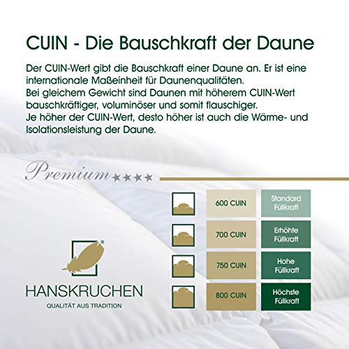 Daunendecke 155 x 200 Hanskruchen Premium, LEICHT