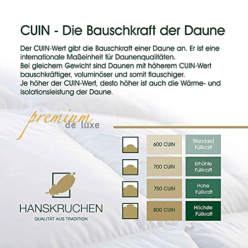 Daunendecke 200 x 200 Hanskruchen Premium de Luxe Daunen