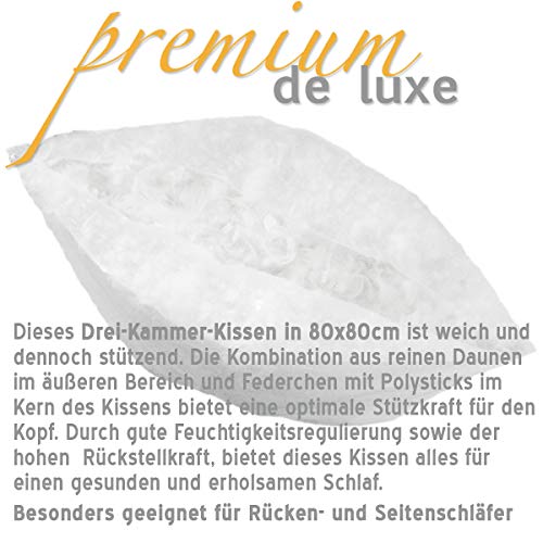Daunenkissen 80×80 Hanskruchen Premium de Luxe Daunen
