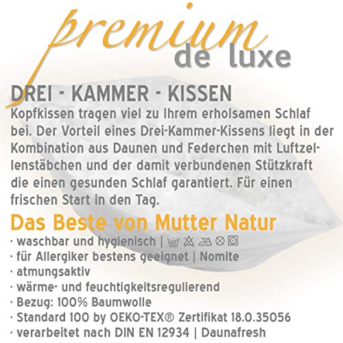 Daunenkissen 80×80 Hanskruchen Premium de Luxe Daunen