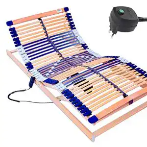 Elektrischer Lattenrost