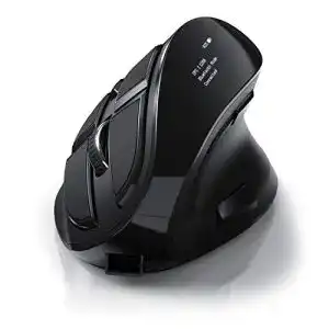 Ergonomische Maus (kabellos)