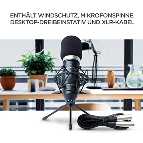 Großmembran-Mikrofon Marantz Professional MPM1000