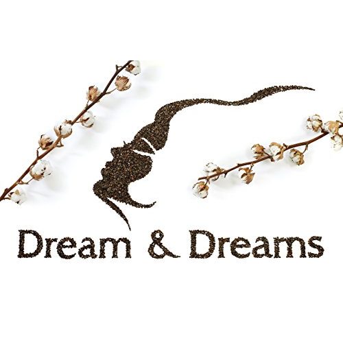 Hirsekissen Dream and Dreams Bio Dream & Dreams, Hirsespreu