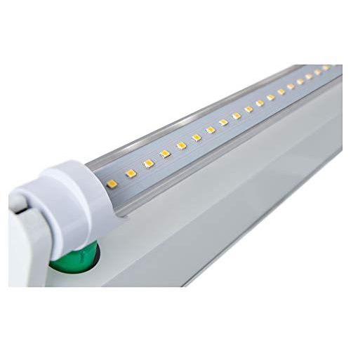 LED-Röhre (120cm) Showlite 4er Set LED Röhre, T8 G13, 1790 Lm