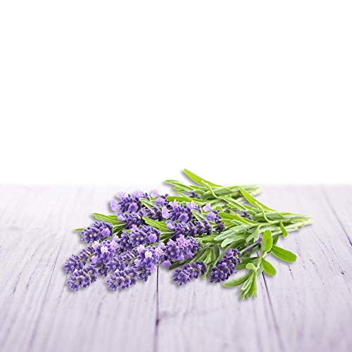 Lufterfrischer Air Wick Aroma-Öl Diffuser Entspannender Lavendel