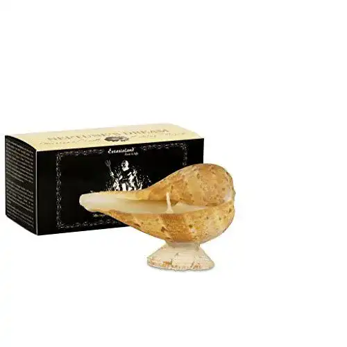 Die beste Massagekerze Extasialand, echte Muschel, Neptune's Dream 2026 Test Bestseller Massagekerze Extasialand, echte Muschel, Neptune’s Dream