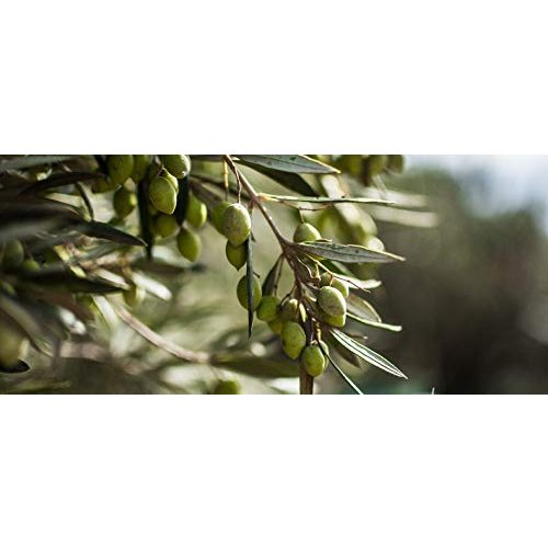 Olivenöl ungefiltert Deligreece – ARCHAELAION Extra limited
