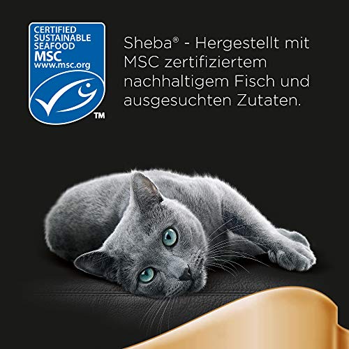 Sheba-Katzenfutter Sheba Fresh & Fine in Sauce 72 x 50g