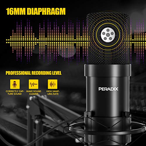 USB-Kondensatormikrofon Peradix mit Mikrofonständer