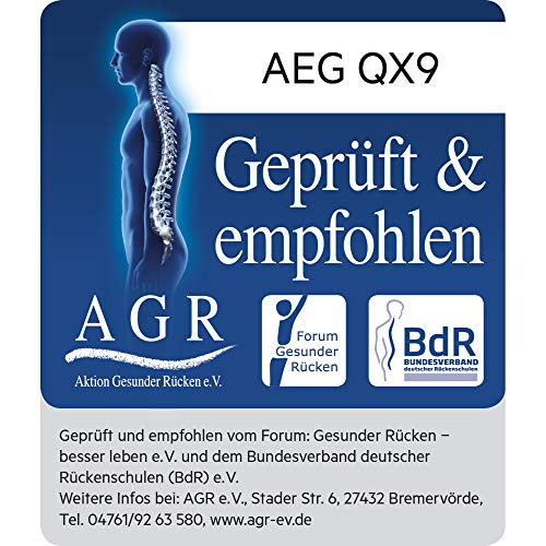 AEG-Akku-Staubsauger AEG QX9-1-ANIM 2in1 Tierhaardüse