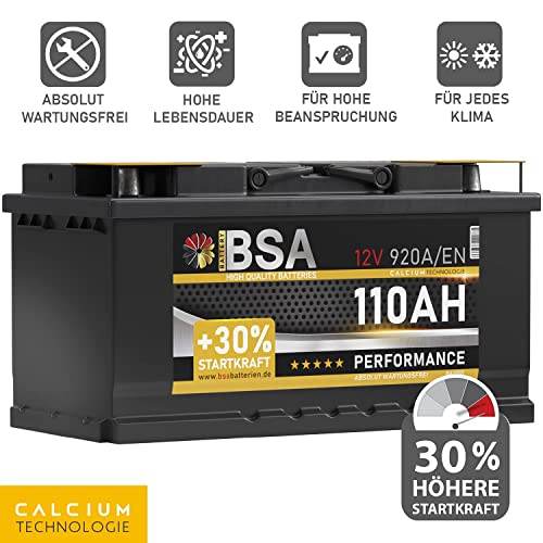 AGM-Batterie 110Ah BSA BATTERY HIGH QUALITY BATTERIES BSA