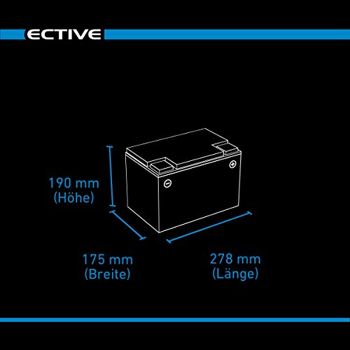 AGM-Batterie 80Ah ECTIVE 12V 80Ah zyklenfester AGM Blei-Akku