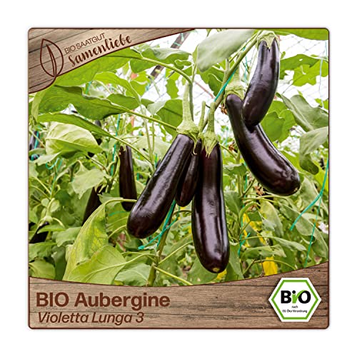 Die beste auberginen samen samenliebe bio alte sorte violetta lunga 3 Bestsleller kaufen