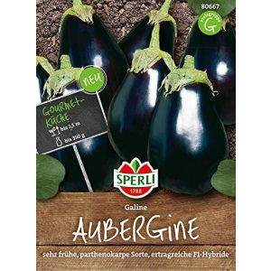 Auberginen-Samen Sperli 80667 Premium, Galine, frühe Sorte