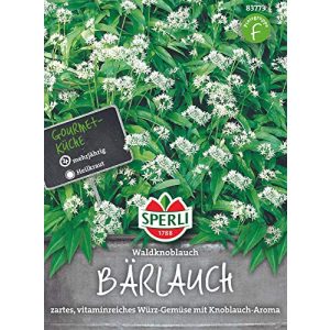 Bärlauch-Samen Sperli Gemüsesamen Bärlauch Waldknoblauch