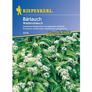 Bärlauch-Samen Sperli Gemüsesamen Waldknoblauch Bärlauch