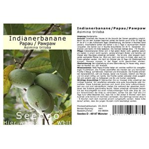 Bananensamen Seedeo Indianerbanane/Papau/Pawpaw 3 Samen