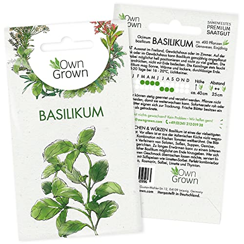 Die beste basilikum samen owngrown basilikum samen ca 400 pflanzen Bestsleller kaufen