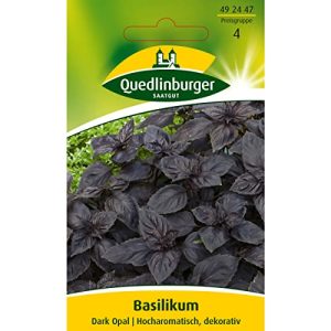 Basilikum-Samen Quedlinburger Basilikum, Dark Opal