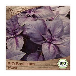 Basilikum-Samen Samenliebe, alte Sorte Violett, 500 Samen