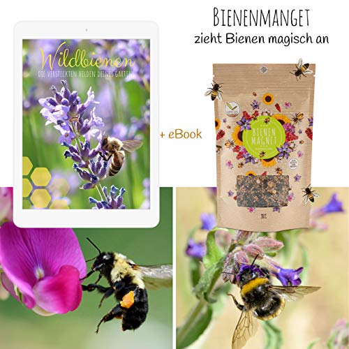 Bienenweide HappySeed 100g Blumenwiese Samen inkl. eBook